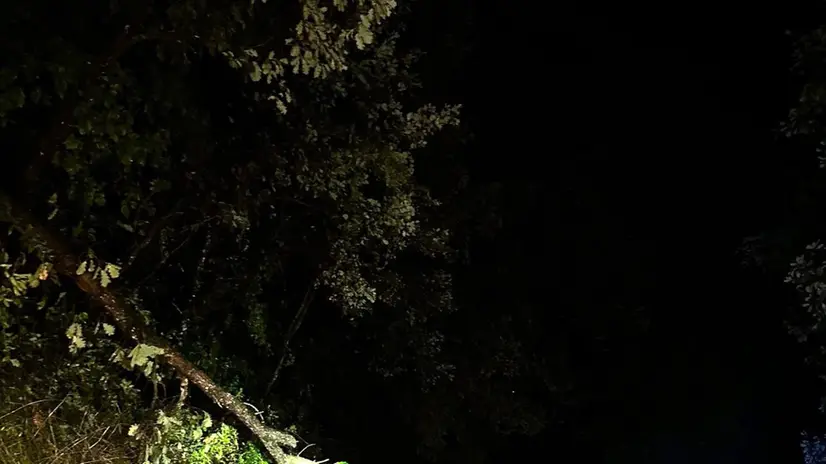 Maltempo, Fivizzano operatori della Protezione Civile sgomberano le strade dagli alberi caduti . 29agosto 2025 ANSA/RICCARDO DALLE LUCHE