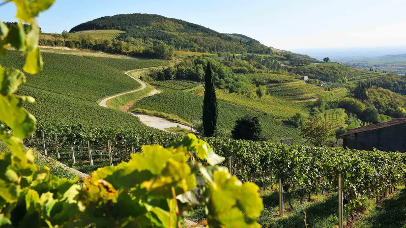 Le colline moreniche del Garda