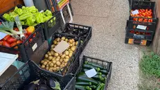 I frutti dell'orto destinati alle famiglie con difficoltà - © www.giornaledibrescia.it