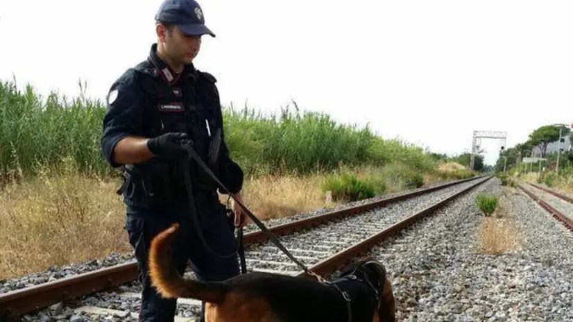 Vanno avanti senza sosta le ricerche di Giuseppe Pilato, l'uomo che ha ucciso la moglie Mary Cirillo con un colpo di pistola a Monasterace, 20 agosto 2014. Alle ricerche partecipano anche due speciali unità cinofile giunte dal gruppo di Firenze. I controlli sono stati portati nei pressi della stazione ferroviaria di Guardavalle Marina, nel catanzarese, dove è stata trovata l'automobile abbandonata dall'uomo con all'interno le chiavi, il bancomat e le carte di credito. I cani stanno concentrando la loro attenzione lungo i binari ferroviari. Nella zona è confluito anche un elicottero ed un consistente numero di carabinieri. ANSA/ UFFICIO STAMPA CARABINIERI +++ HO - NO SALES, EDITORIAL USE ONLY +++