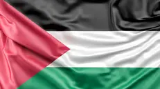 Flag of Palestine