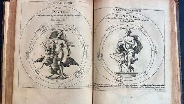 Una pagina del libro di Vaughan