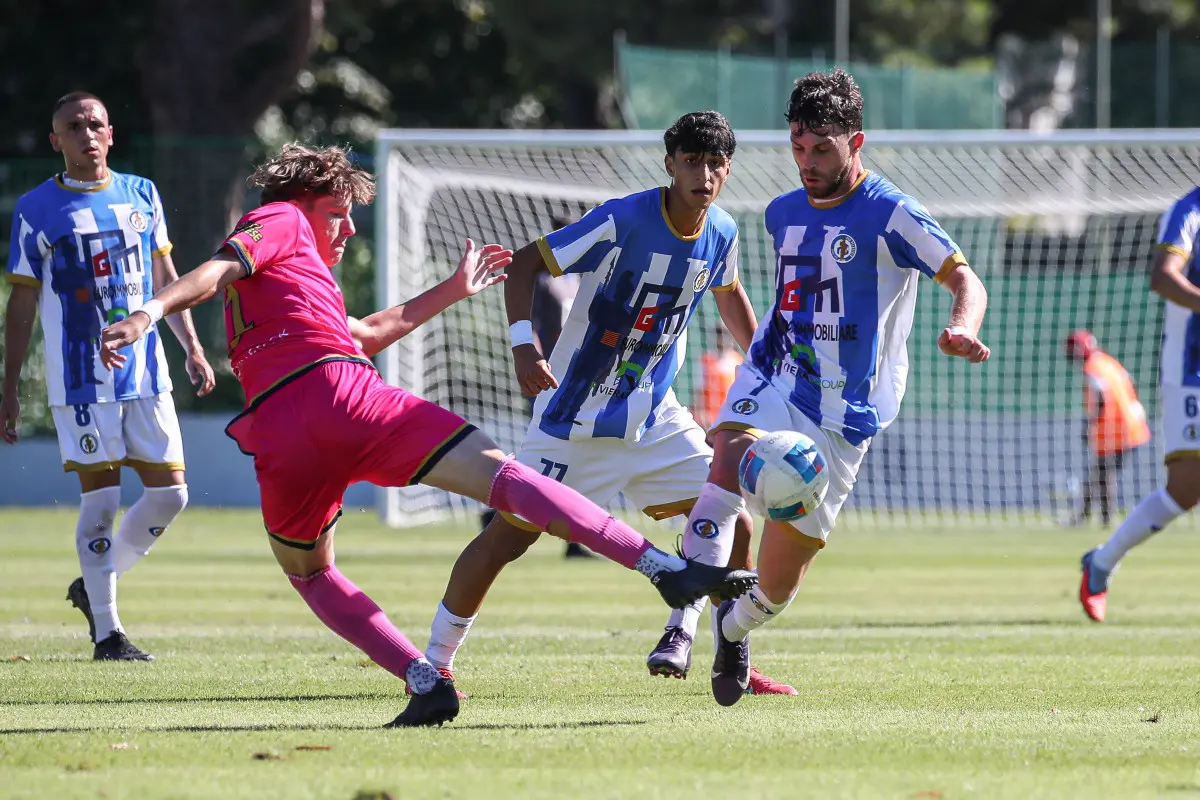 pro palazzolo calcio serie d