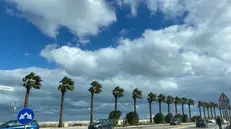 Lungomare di Barletta, vento, mare agitato