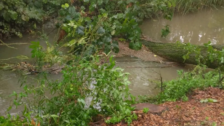 Il maltempo ha provocato danni - © www.giornaledibrescia.it