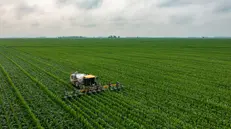 Settore agricolo tra i più interessati - © www.giornaledibrescia.it