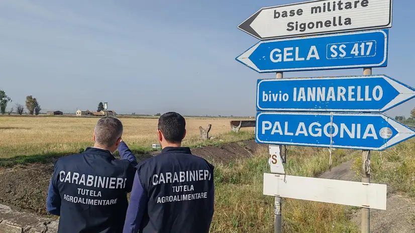 Carabinieri del reparto Tutela agroalimentare di Messina sequestrato beni per 441mila euro nell'ambito di un'inchiesta su una presunta truffa ai danni della Comunità Europea che coinvolge un'azienda agricola che, secondo la tesi dell'accusa, aveva dichiarato la concessione sull'area della base militare dell'aeroporto militare di Sigonella, 22 maggio 2024. Il provvedimento è stato emesso dal Tribunale di Catania su richiesta della Procura Europea di Palermo. ANSA/US CARABINIERI +++ NPK +++ NO SALES, EDITORIAL USE ONLY +++