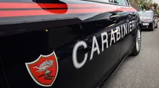 Auto (o anche Gazzelle) del Nucleo Radiomobile dei Carbinieri nella sede del comando del Torrino, Roma, 12 Agosto 2025. ANSA/GIUSEPPE LAMI Sono circa 100 gli equipaggi che quotidianamente 24 ore su 24 intevengono sul territorio della capitale.