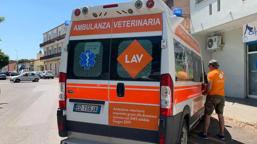 Ambulanza Lav