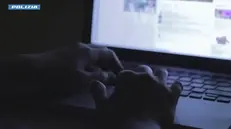 (FRAME) La polizia postale del Veneto, al termine di una complessa attività di indagine, coordinata dalla procura di Venezia e dal Centro nazionale per il contrasto alla pedopornografia online, ha tratto in arresto sei persone per diffusione e detenzione di ingente quantità di materiale pedopornografico, nel corso dell'esecuzione di 7 perquisizioni in tutta la Regione. L'operazione, denominata "Custodia Pro Spes", ha avuto origine da alcune segnalazioni di attività illecite su piattaforme di scambio di file. Nel corso di alcune delle perquisizioni avvenute nelle Province di Venezia, Belluno, Rovigo, Vicenza, Padova e Verona sono stati trovati i computer accesi e collegati alla rete mentre stavano scaricando e condividendo file illeciti. Gli arrestati, di varie estrazioni sociali e tutti di sesso maschile, hanno un'età compresa tra 51 e 70 anni. Durante una delle perquisizioni è stata trovata anche una "collezione" di materiale illecito accuratamente catalogato e meticolosamente archiviato in raccoglitori di dvd. ANSA/POLIZIA ANSA PROVIDES ACCESS TO THIS HANDOUT PHOTO TO BE USED SOLELY TO ILLUSTRATE NEWS REPORTING OR COMMENTARY ON THE FACTS OR EVENTS DEPICTED IN THIS IMAGE; NO ARCHIVING; NO LICENSING NPK