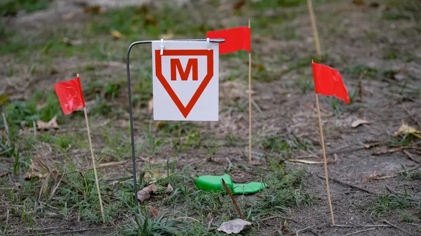 epa11715747 Flags signaling landmines on a demining training field at the Ukrainian Ministry of Defence training center in the Chernihiv region, Ukraine, 01 November 2024 (issued 12 November 2024). The Ukrainian State Demining Service claims to have destroyed more than 200,000 explosive objects since the beginning of the Russian invasion of Ukraine in February 2022. Soldiers deployed on the frontline, as well as civilians working in rural areas near the front, are constantly exposed to landmines. According to the United Nations Development Programme (UNDP), Ukraine is currently the most mined country in the world, with estimates suggesting that up to 23 percent of its territory may be contaminated by landmines and unexploded ordnance. EPA/MARIA SENOVILLA