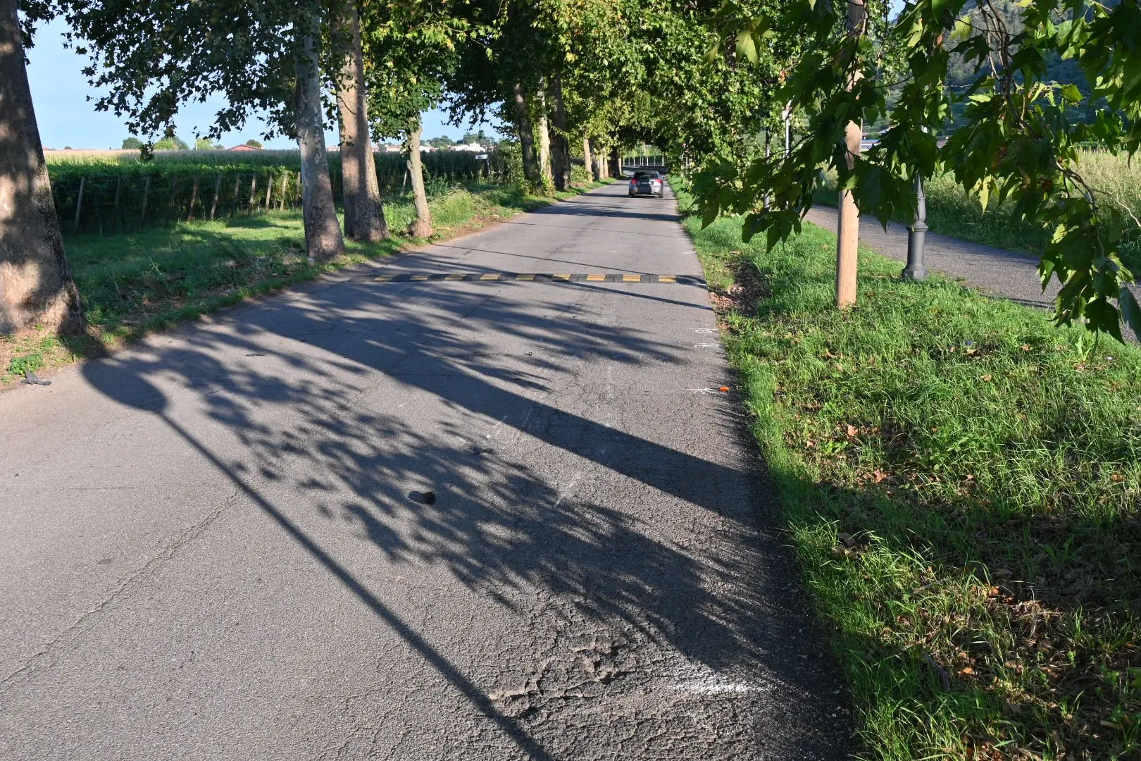 La strada dell'incidente mortale a Cologne