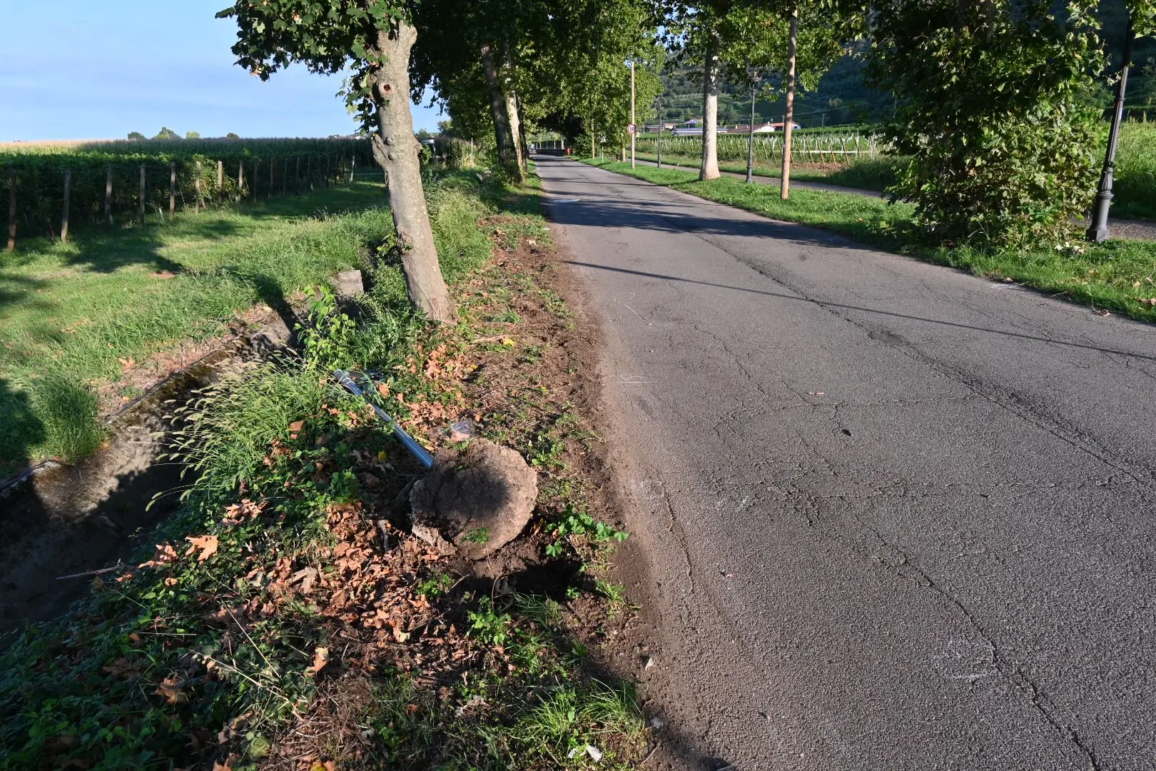 La strada dell'incidente mortale a Cologne