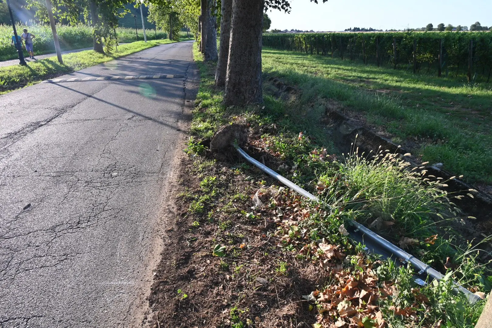 La strada dell'incidente mortale a Cologne