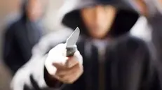 Un coltello (foto simbolica)