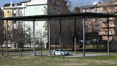L'episodio è avvenuto al parco Pescheto - Foto Ufficio stampa Comune di Brescia/Penocchio