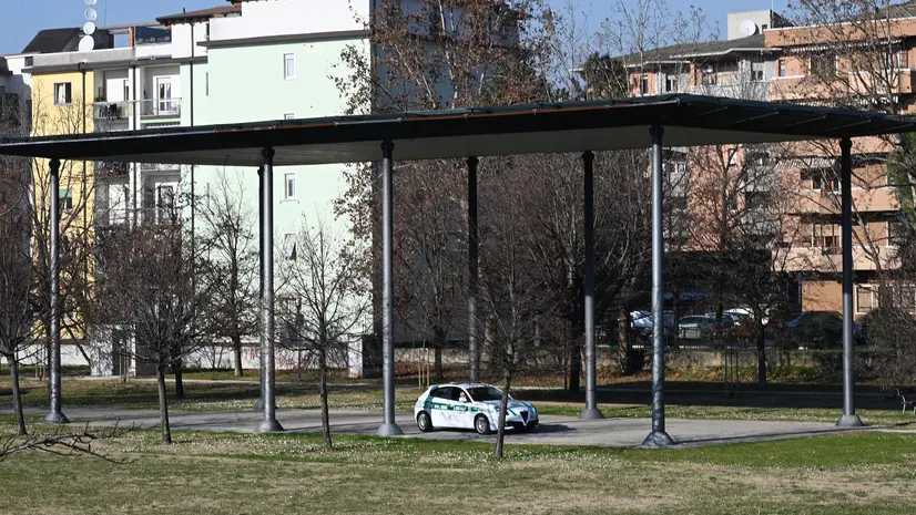 L'episodio è avvenuto al parco Pescheto - Foto Ufficio stampa Comune di Brescia/Penocchio