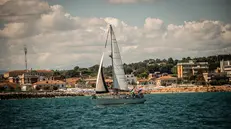 A Senigallia barche in mare per salutare la Flotilla verso Gaza