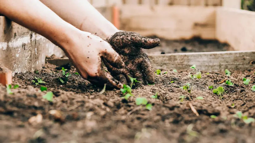 Lavorare nell'orto è pace e condivisione dei frutti della terra