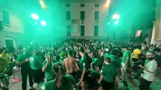 La festa dei verdi di Marengo