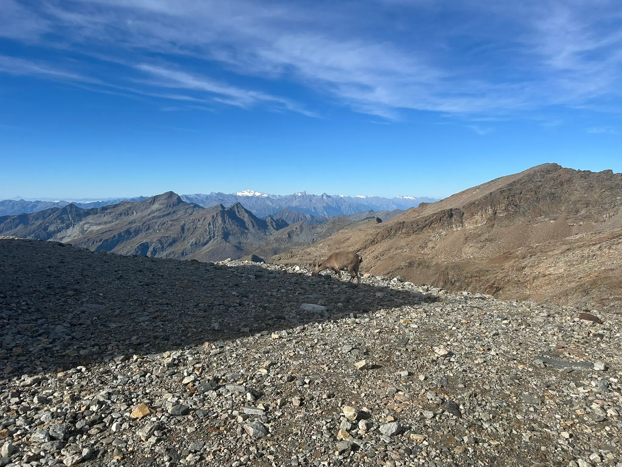 Climbing for climate sul massiccio del Monte Rosa