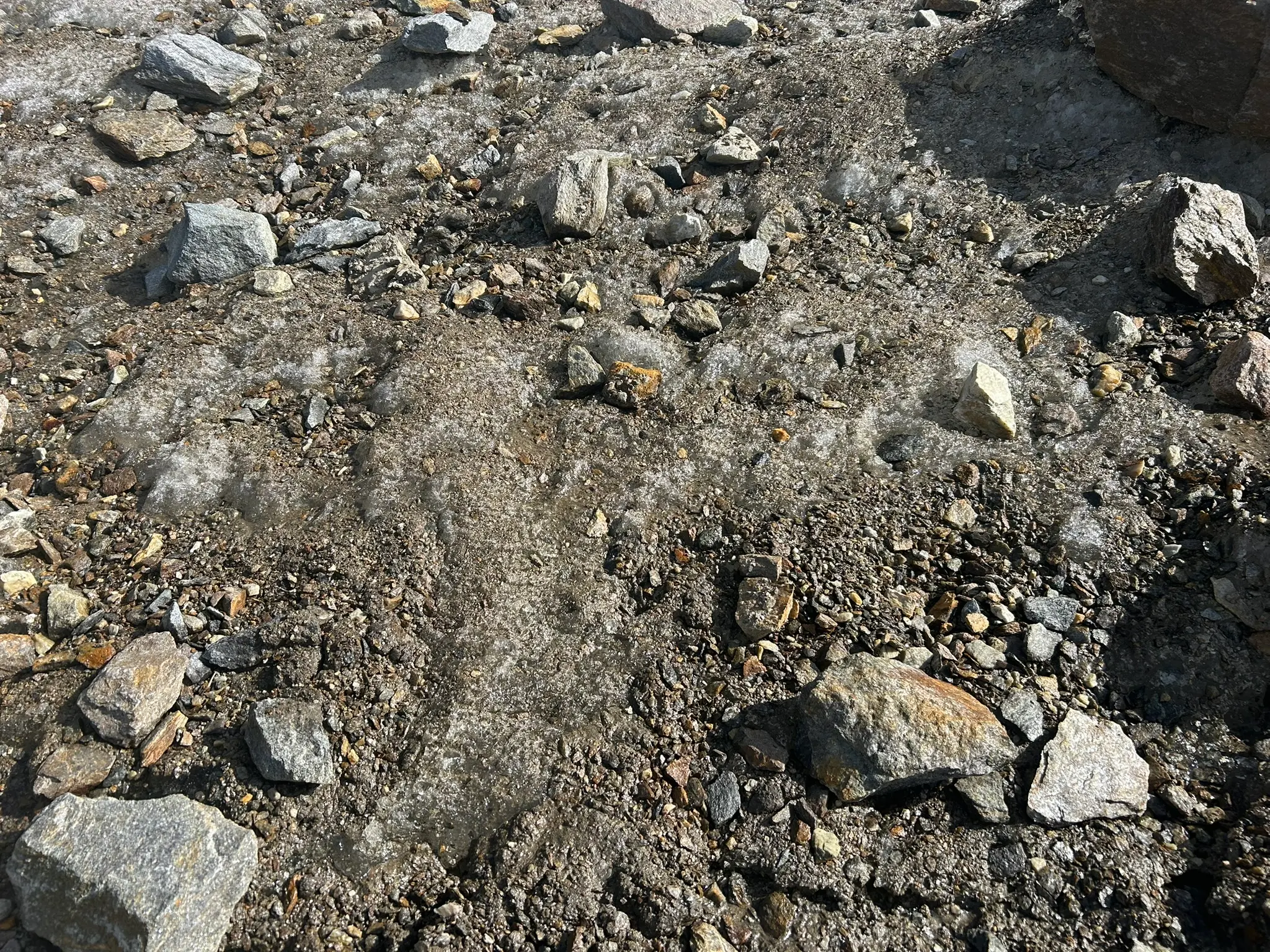 Climbing for climate sul massiccio del Monte Rosa