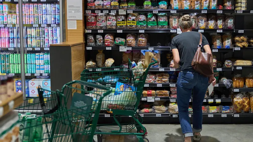 epa12296562 A person shops for groceries at a store in Los Angeles, California, USA, 12 August 2025. The consumer price index increased a seasonally adjusted 0.2 percent for July and 2.7 percent on a 12-month basis, the Bureau of Labor Statistics reported Tuesday, amid fears of US President Trump’s tariffs intensifying price pressures across a wide range of consumer goods. EPA/ALLISON DINNER