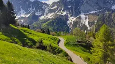 Il Passo del Vivione