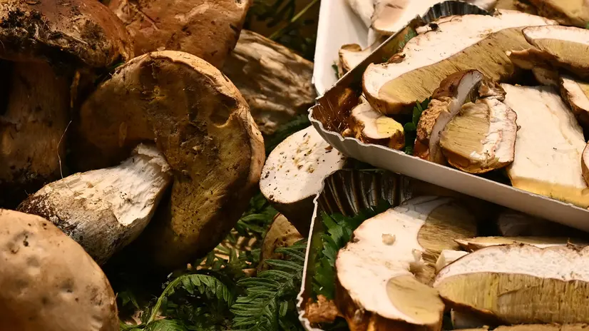 Cittadini fanno la spesa con un occhio ai prezzi al Mercato Orientale in pieno centro. Genova, 04 settembre 2023. ANSA/LUCA ZENNARO (spesa, prezzi, ricancari, frutta, verdura, funghi)