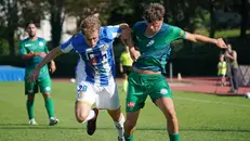 Serie D, gli scatti di Desenzano-Pro Palazzolo