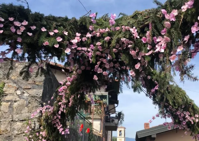 L'ultimo giorno della Festa dei Fiori 2025 a Montisola
