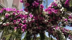 L'ultimo giorno della Festa dei Fiori 2025 a Montisola