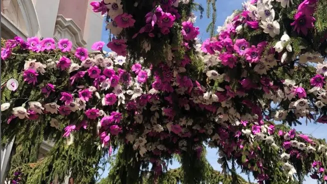 L'ultimo giorno della Festa dei Fiori 2025 a Montisola