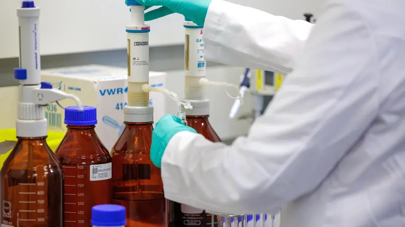 epa12345271 A scientist works during a press briefing from the National Institute of Criminalistics and Criminology (NICC) on the results of the analysis of more than 2,400 samples taken during the major festivals of 2024 and 2025 in Brussels, Belgium, 02 September 2025. EPA/OLIVIER MATTHYS