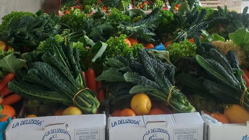 Alcuni degli ortaggi di Casa Pedrini