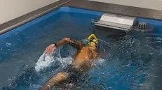 La piscina a flusso continuo di Mg Training Studio