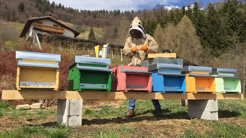 Le arnie del Chichimela - © www.giornaledibrescia.it