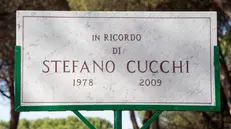 La targa in ricordo di Stefano Cucchi presso il parco degli Acquedotti a Roma, 29 ottobre 2020. ANSA/CLAUDIO PERI