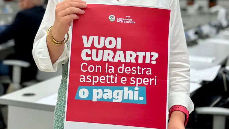 Il cartello tenuto tra le mani da Miriam Cominelli del Pd
