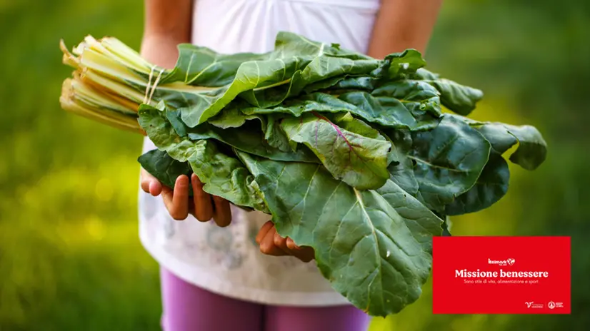 «Missione benessere» è un evento promosso da Italmark