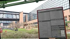 Vedute del palazzo di giustizia Brino Caccia di Torino, 31 Gennaio 2025 ANSA/ALESSANDRO DI MARCO