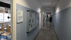 «Spazio studenti», il nuovo centro dedicato al benessere in UniBs