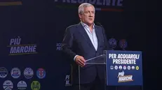 Il segretario di Forza Italia e vicepremier, Antonio Tajani, alla chiusura della campagna elettorale del centrodestra per il governatore Francesco Acquaroli ad Ancona, 17 settembre 2025. ANSA/DAVIDE GENNARI