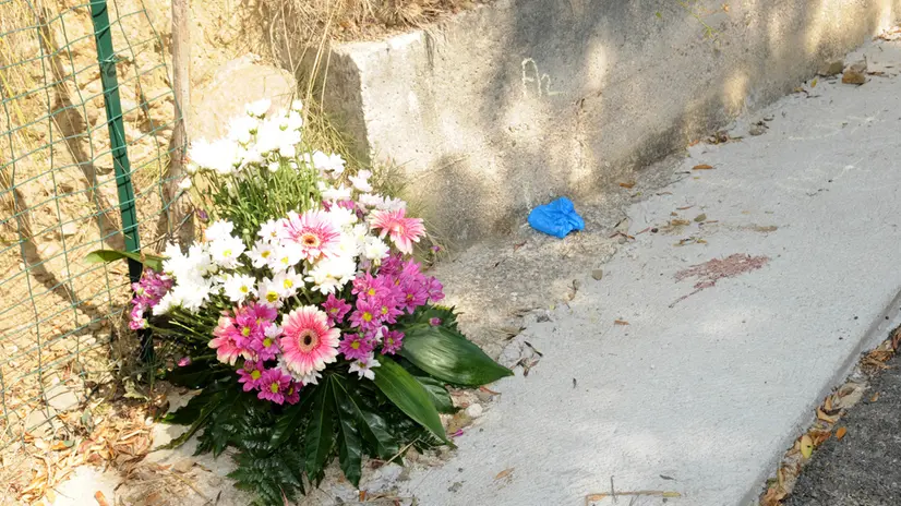20100906-POLLICA-IL LUOGO DOVE E' STATO UCCISO IL SINDACO VASSALLO DEPOSTO UN MAZZO DI FIORI ANSA/PASQUALE STANZIONE