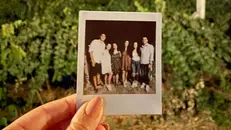 Nei vigneti in notturna