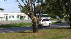 Riqualificazione alberature in via Labirinto a Brescia