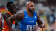 Marcell Jacobs durante la staffetta - Foto Fidal/Grana