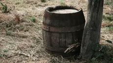 Una botte di legno