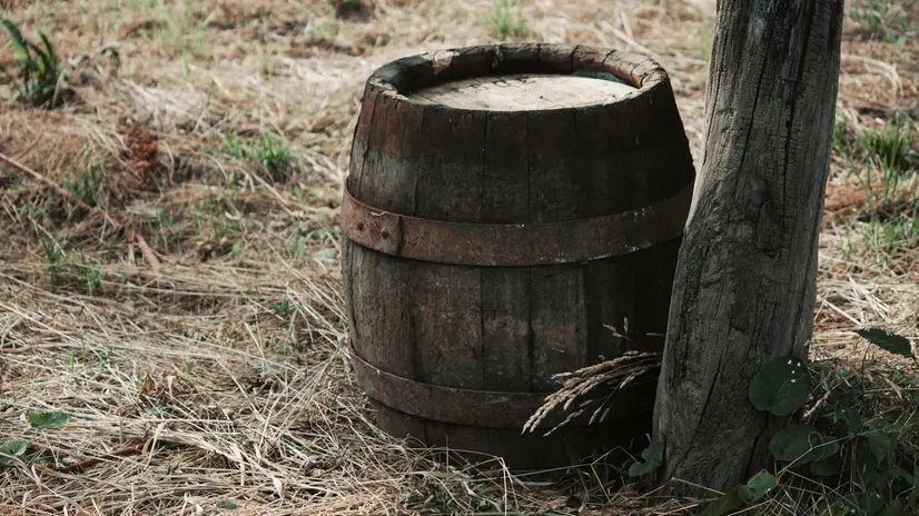 Una botte di legno