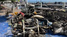 Puliamo i fondali: l'esito della pulizia nel lago di Garda a Gardone